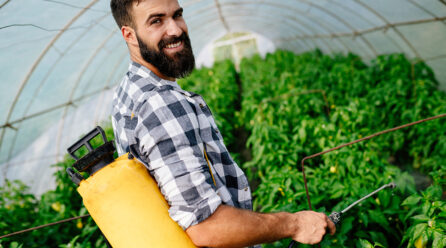 Adblue désherbant : le dosage pour désherber des mauvaises herbes