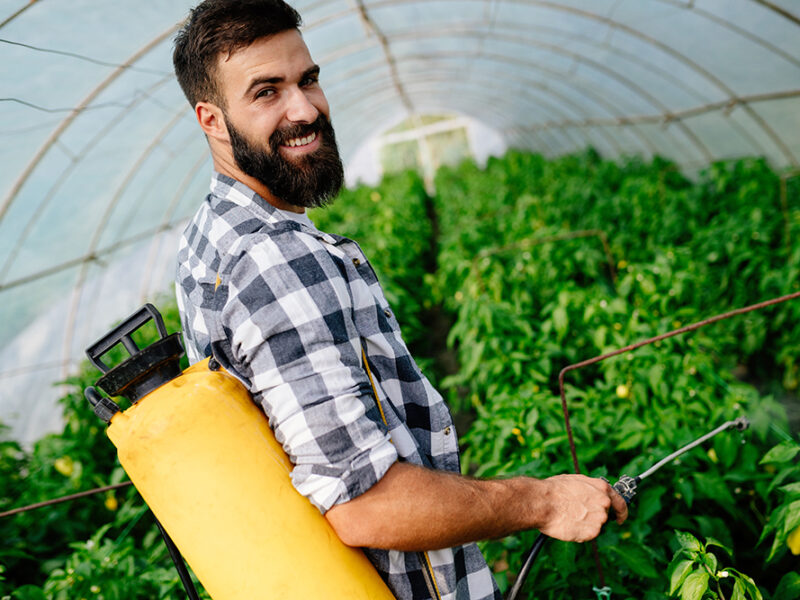 Adblue désherbant : le dosage pour désherber des mauvaises herbes