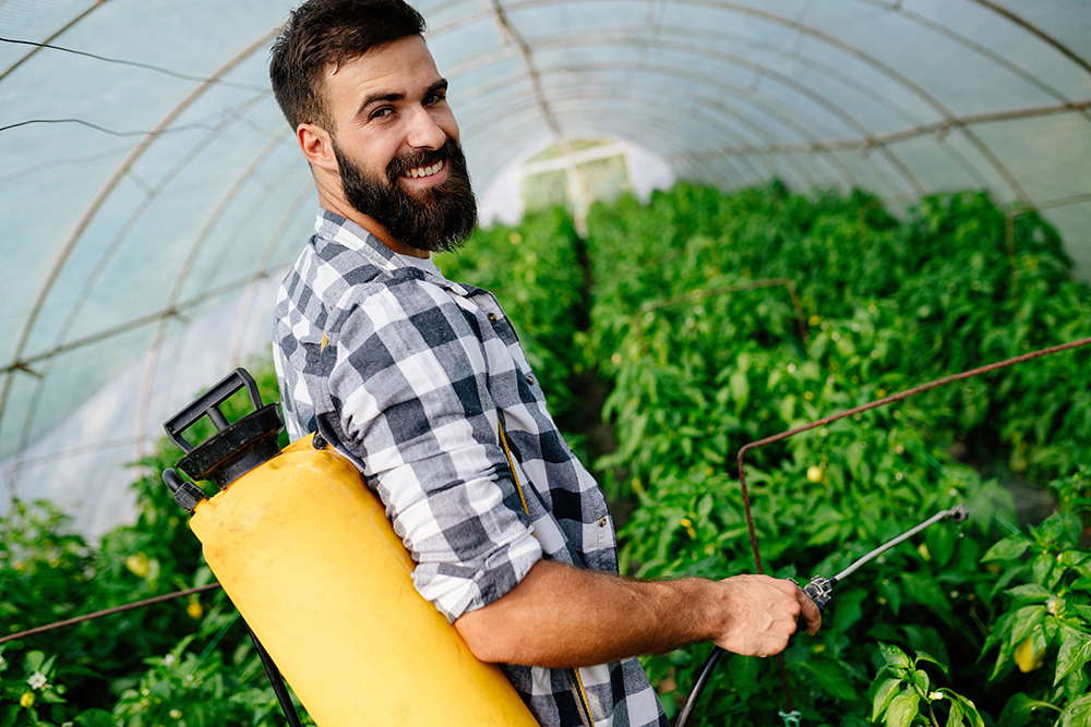 Adblue désherbant : le dosage pour désherber des mauvaises herbes