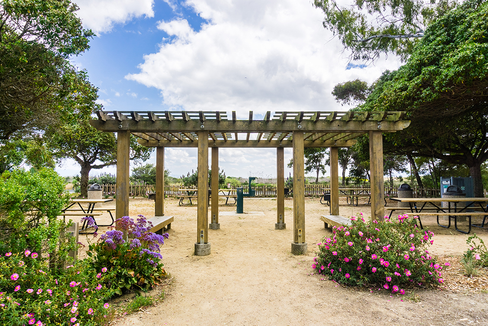 Pergola en bois