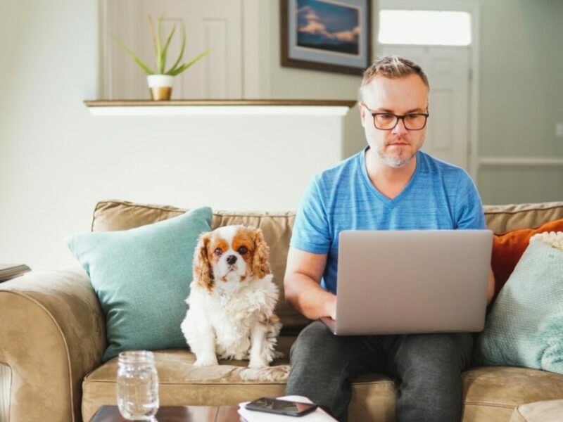 Comment garder une maison propre avec des animaux domestiques