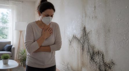 Pourquoi le taux d’humidité sur le mur en plâtre peut causer des problèmes de santé ?
