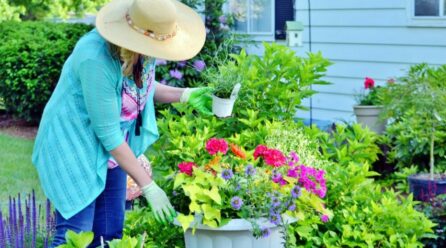 4 façons d’économiser de l’argent en aménageant votre jardin