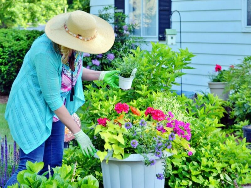 4 façons d’économiser de l’argent en aménageant votre jardin