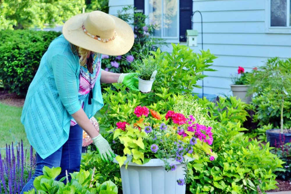 4 façons d’économiser de l’argent en aménageant votre jardin