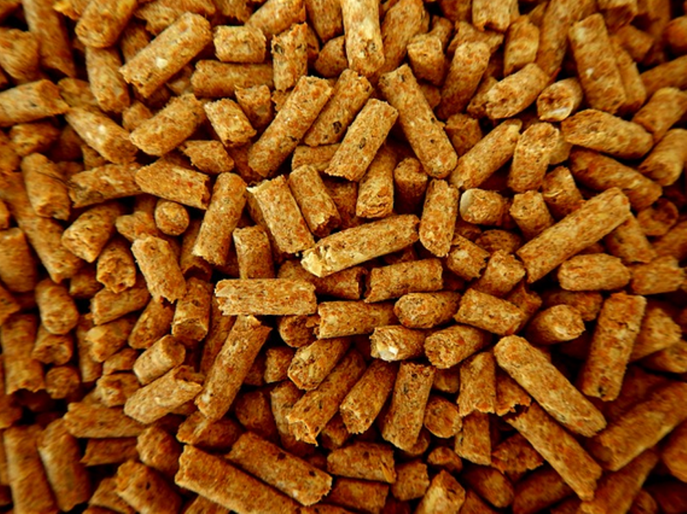 Chauffage à pellets : les informations essentielles à savoir