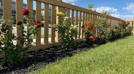 Quelle matière pas chère utiliser pour une clôture de jardin économique?