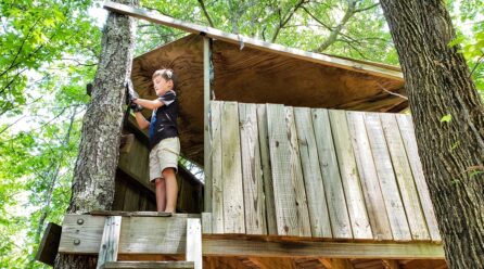 Comment construire une cabane dans les arbres : étapes, conseils