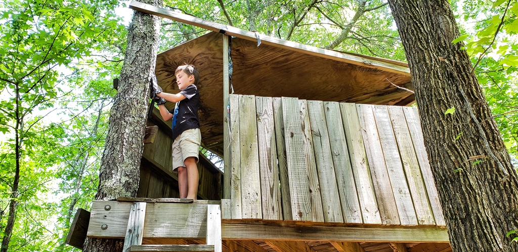 Comment construire une cabane dans les arbres : étapes, conseils