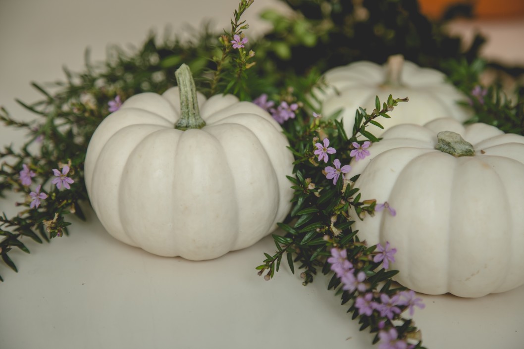 déco citrouilles blanches