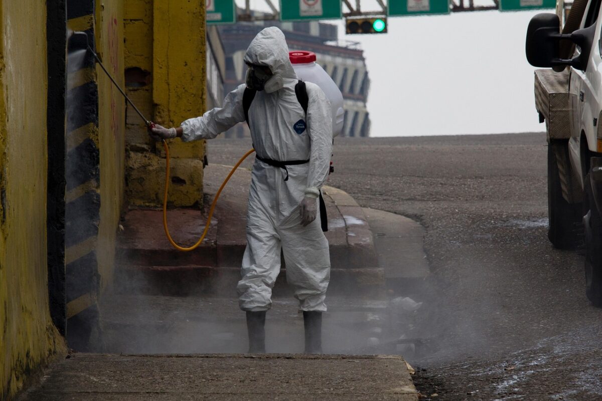 Les erreurs à éviter lors de la dératisation à Avignon