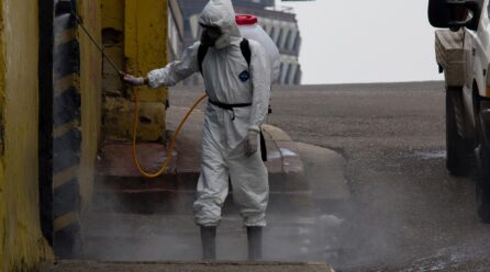 Les erreurs à éviter lors de la dératisation à Avignon