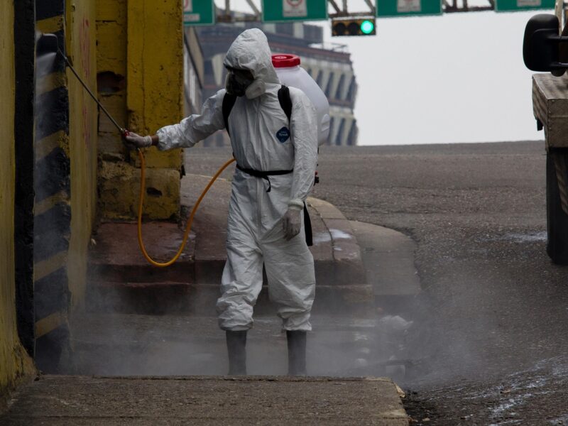 Les erreurs à éviter lors de la dératisation à Avignon