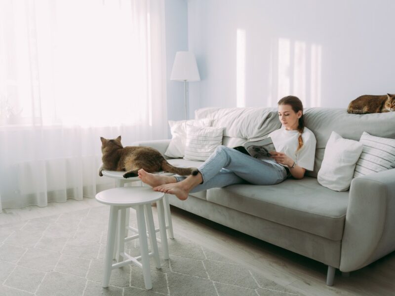 Transformez votre salon en un lieu de détente idéal dès aujourd’hui !