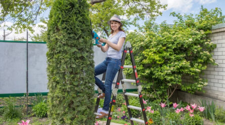 Rénovez votre jardin comme un professionnel avec les échelles Henchman