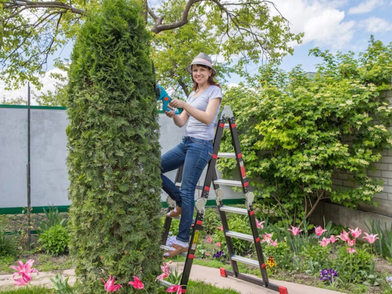 Rénovez votre jardin comme un professionnel avec les échelles Henchman