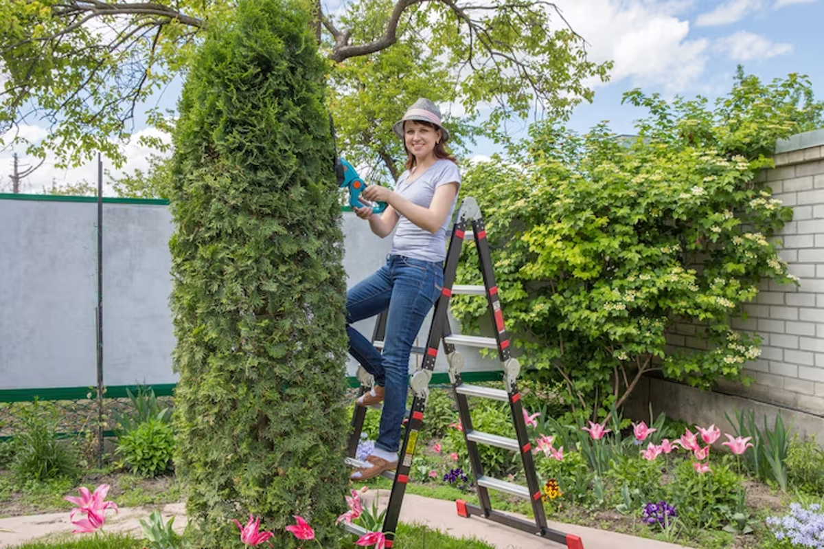 Rénovez votre jardin comme un professionnel avec les échelles Henchman