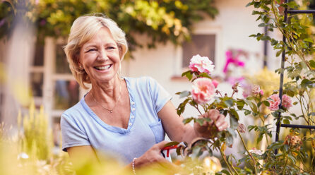 Comment faire une installation de treillis pour une plante grimpante ?