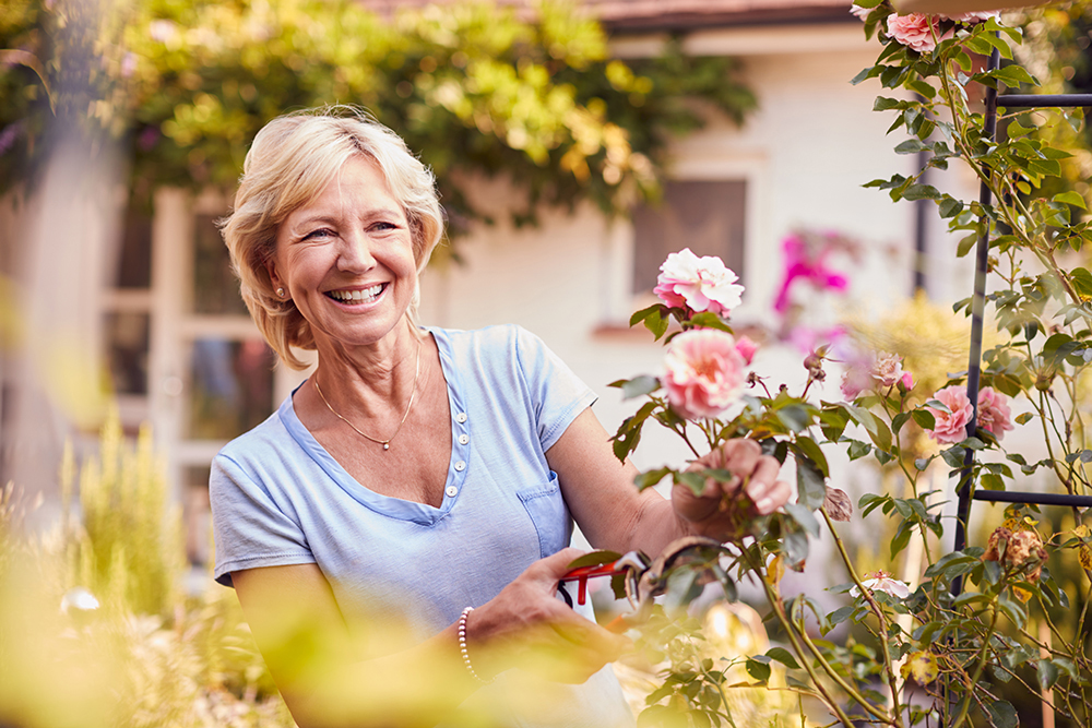 Comment faire une installation de treillis pour une plante grimpante ?