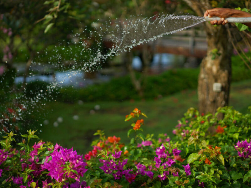 Paysagisme : 4 conseils pour améliorer votre jardin par vous-même