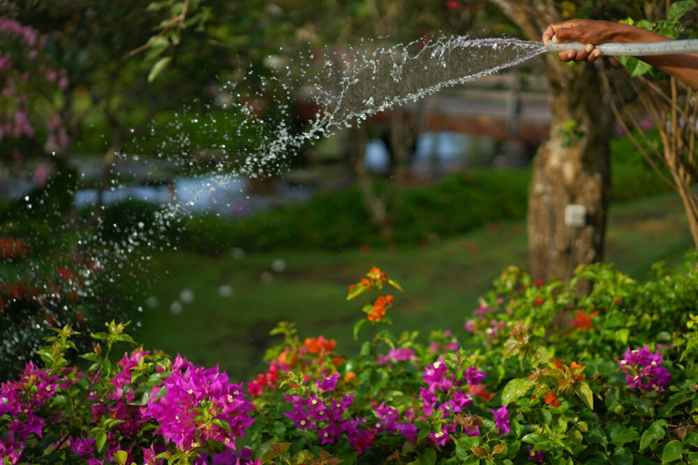 Paysagisme : 4 conseils pour améliorer votre jardin par vous-même