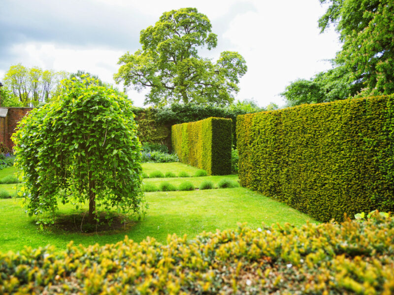 Jardinage écologique : comment passer au vert en rendant votre jardin plus vert