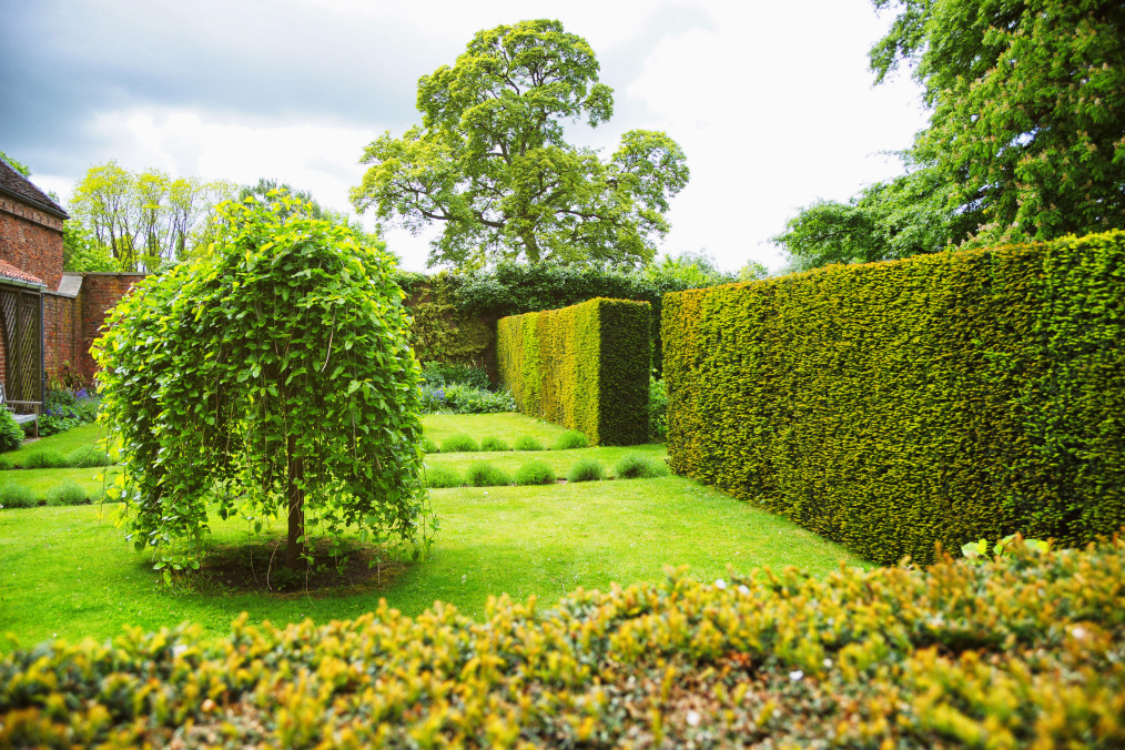 Jardinage écologique : comment passer au vert en rendant votre jardin plus vert