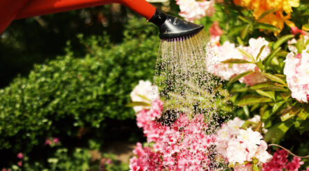 Règles de jardinage écologique pour le jardinier écolo