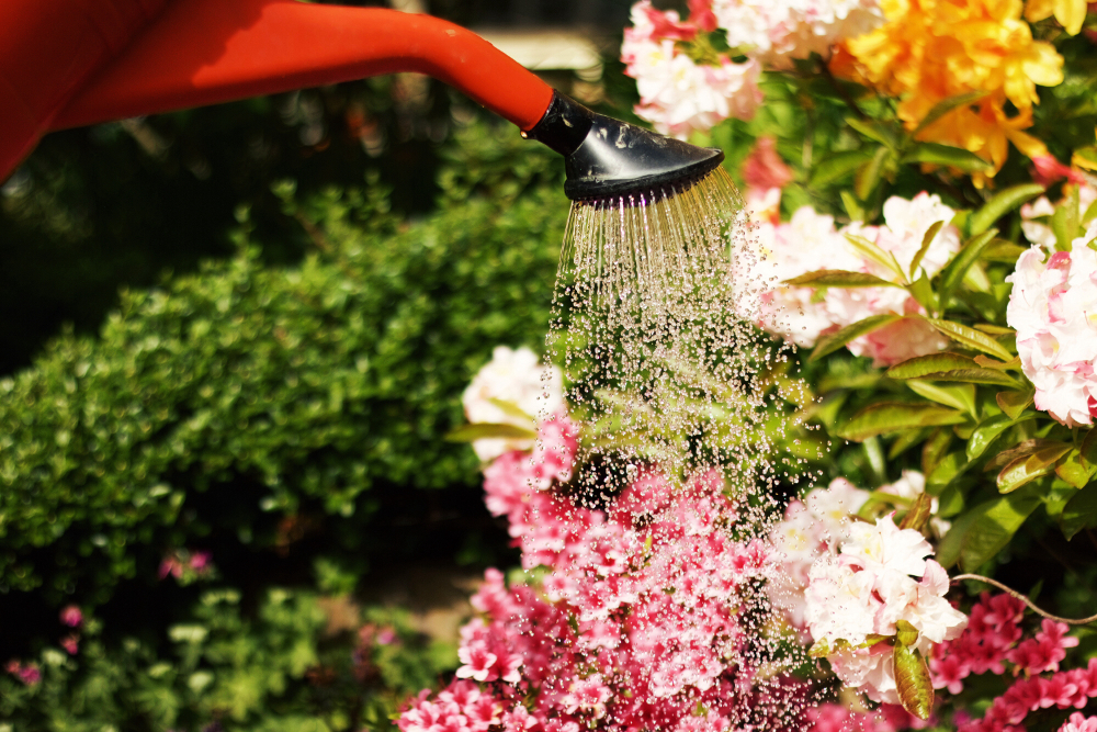 Règles de jardinage écologique pour le jardinier écolo