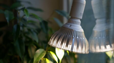 Comment utiliser les lampes LED pour faire pousser des plantes