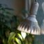 lampe LED pour plante