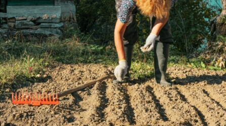 Caractéristiques du sol loam sablonneux que tout jardinier doit connaître