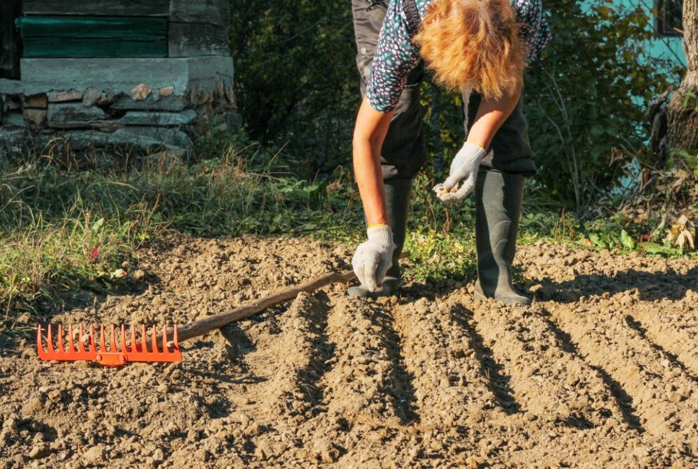 Caractéristiques du sol loam sablonneux que tout jardinier doit connaître