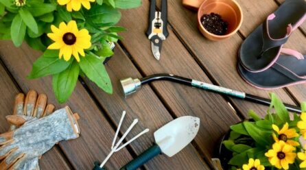 Comment nettoyer les outils de jardin (et pourquoi ils en ont besoin)