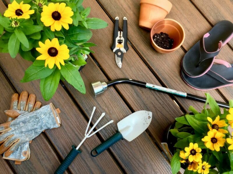 Comment nettoyer les outils de jardin (et pourquoi ils en ont besoin)