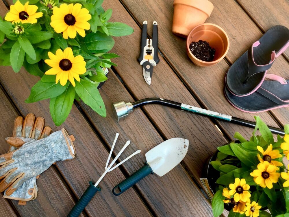 Comment nettoyer les outils de jardin (et pourquoi ils en ont besoin)