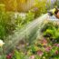 pulvérisation eau jardin