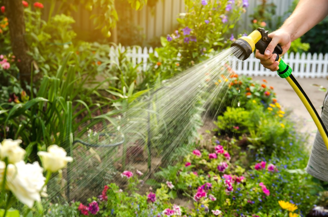 Insectes : se débarrasser des parasites du jardin en utilisant des solutions naturelles