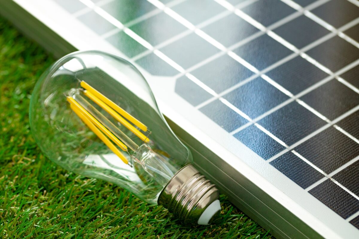 Découvrez combien rapporte 1000 m2 de panneau solaire en 2025
