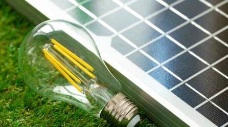Découvrez combien rapporte 1000 m2 de panneau solaire en 2025