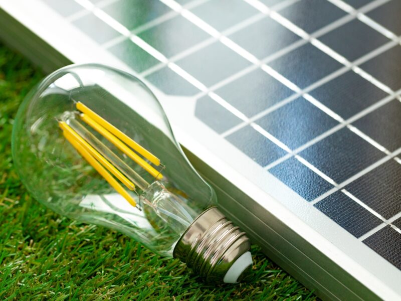 Découvrez combien rapporte 1000 m2 de panneau solaire en 2025